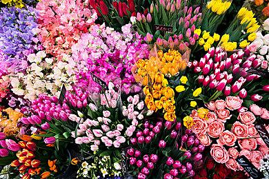 《我的世界：地下城》第三个季节性冒险上线：“动物集市”